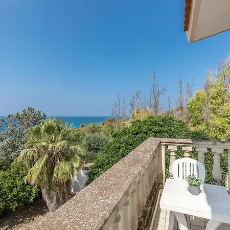 La Alba By Barbarhouse